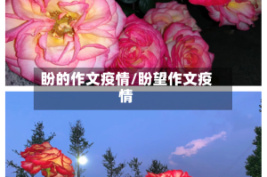 盼的作文疫情/盼望作文疫情