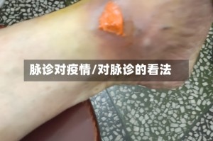 脉诊对疫情/对脉诊的看法