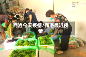 商洛今天疫情/商洛最近疫情