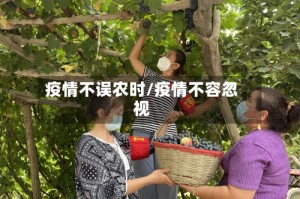 疫情不误农时/疫情不容忽视