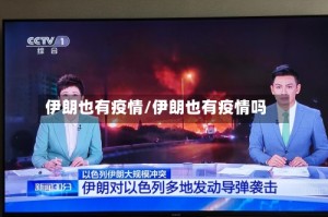 伊朗也有疫情/伊朗也有疫情吗