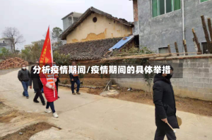 分析疫情期间/疫情期间的具体举措