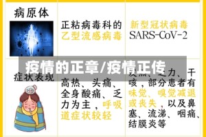 疫情的正章/疫情正传