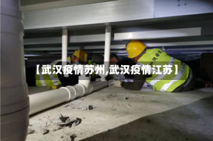 【武汉疫情苏州,武汉疫情江苏】