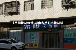 【岳阳桃林疫情,湖南省岳阳市桃林镇】
