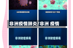 非洲疫情肺炎/非洲 疫情