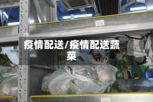 疫情配送/疫情配送蔬菜