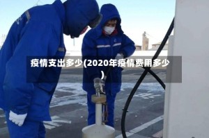 疫情支出多少(2020年疫情费用多少)
