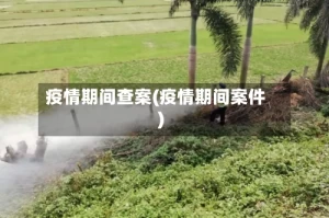 疫情期间查案(疫情期间案件)