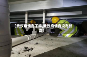 【武汉疫情有了吗,武汉疫情有没有新增】