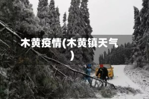 木黄疫情(木黄镇天气)