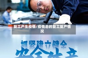 复工产生疫情/疫情后的复工复产情况