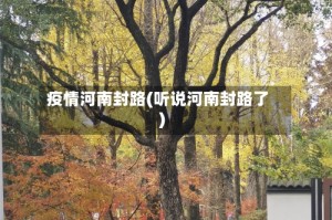 疫情河南封路(听说河南封路了)