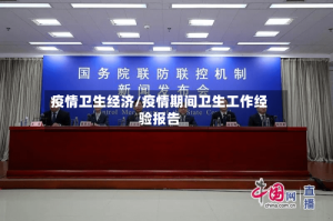疫情卫生经济/疫情期间卫生工作经验报告