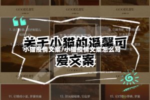 小猫疫情文案/小猫疫情文案怎么写