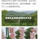 疫情失业感悟(疫情失业文章)