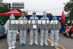 疫情强行卡点/疫情卡点作用