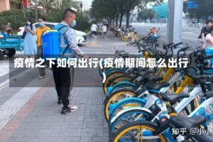 疫情之下如何出行(疫情期间怎么出行)