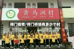 梓门疫情/梓门桥镇有多少个村