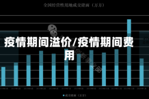 疫情期间溢价/疫情期间费用