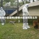 疫情小区遛狗(疫情小区遛狗怎么办)