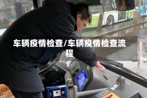 车辆疫情检查/车辆疫情检查流程