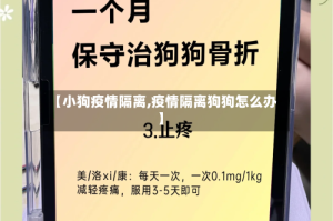 【小狗疫情隔离,疫情隔离狗狗怎么办】
