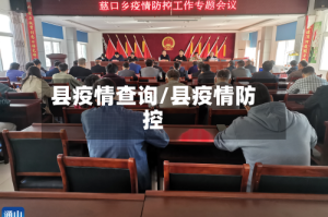 县疫情查询/县疫情防控