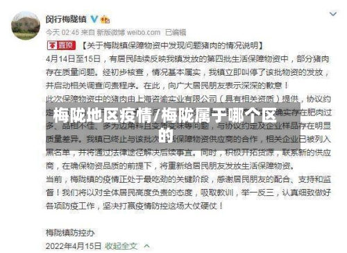 梅陇地区疫情/梅陇属于哪个区的-第2张图片