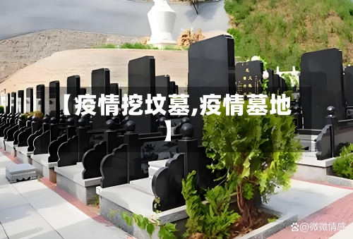 【疫情挖坟墓,疫情墓地】-第2张图片