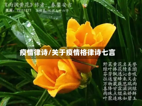 疫情律诗/关于疫情格律诗七言-第2张图片