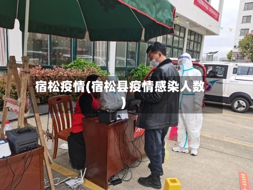 宿松疫情(宿松县疫情感染人数)-第2张图片