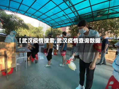 【武汉疫情搜索,武汉疫情查询数据】-第3张图片