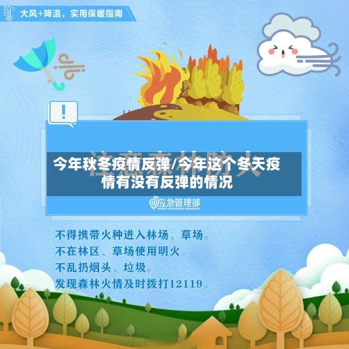 今年秋冬疫情反弹/今年这个冬天疫情有没有反弹的情况-第1张图片