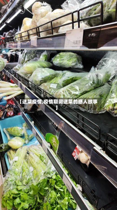 【送菜疫情,疫情期间送菜的感人故事】-第3张图片
