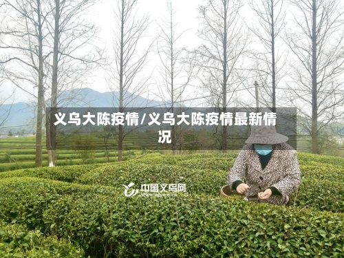 义乌大陈疫情/义乌大陈疫情最新情况-第1张图片