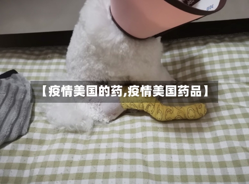 【疫情美国的药,疫情美国药品】-第2张图片