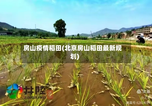 房山疫情稻田(北京房山稻田最新规划)-第3张图片