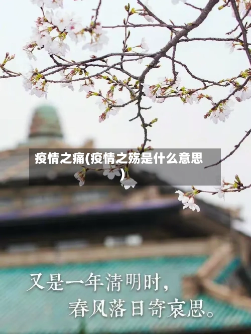 疫情之痛(疫情之殇是什么意思)-第1张图片