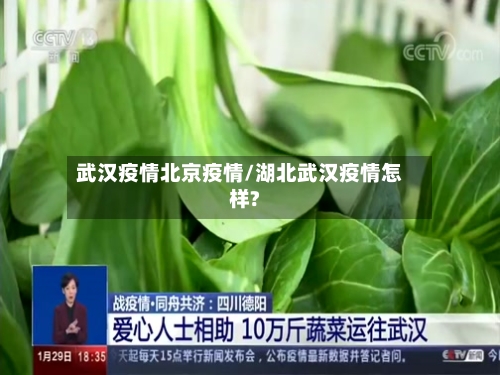武汉疫情北京疫情/湖北武汉疫情怎样?-第3张图片