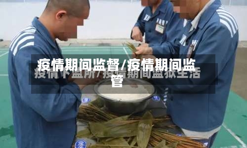 疫情期间监督/疫情期间监管-第1张图片