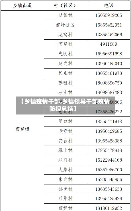 【乡镇疫情干部,乡镇领导干部疫情防控总结】-第2张图片