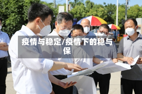 疫情与稳定/疫情下的稳与保-第3张图片
