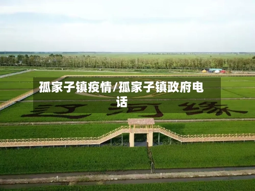 孤家子镇疫情/孤家子镇政府电话-第1张图片