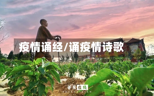 疫情诵经/诵疫情诗歌-第2张图片