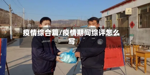 疫情综合篇/疫情期间综评怎么写-第2张图片