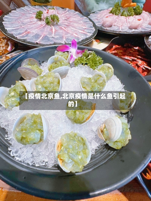 【疫情北京鱼,北京疫情是什么鱼引起的】-第1张图片