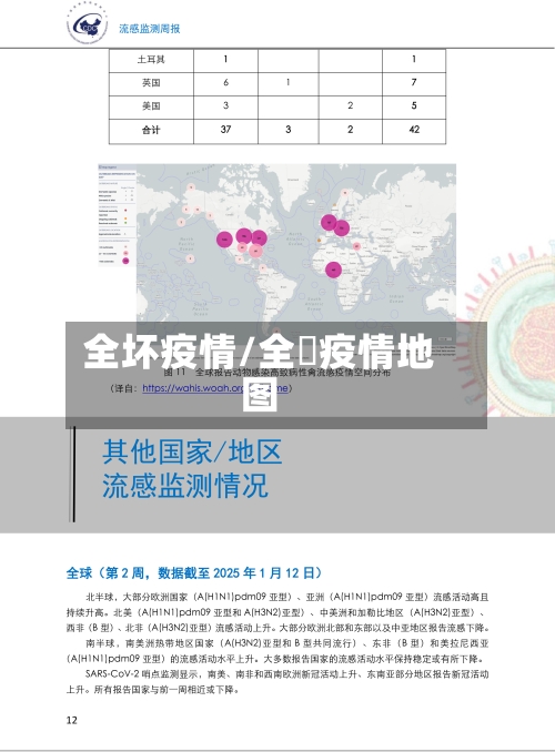 全坏疫情/全囯疫情地图-第2张图片