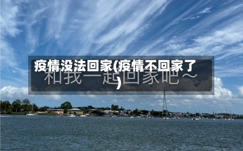 疫情没法回家(疫情不回家了)-第1张图片