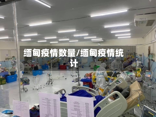 缅甸疫情数量/缅甸疫情统计-第2张图片